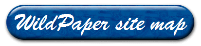 WildPaper site map