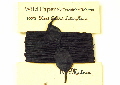 Hand twisted black lokta paper twine