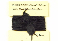 Hand twisted black lokta paper twine